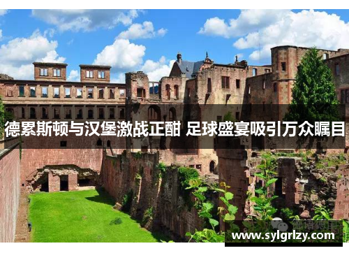 德累斯顿与汉堡激战正酣 足球盛宴吸引万众瞩目