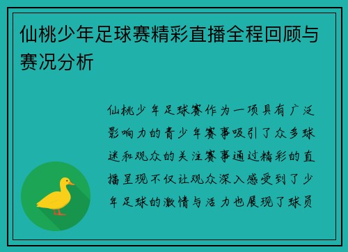仙桃少年足球赛精彩直播全程回顾与赛况分析